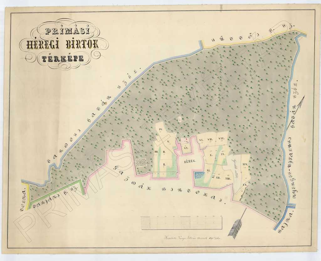 A prímási héregi birtok térképe.&nbsp;(1890)